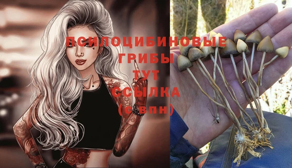 мяу мяу кристалл Богородицк