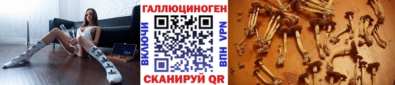 Галлюциногенные грибы прущие грибы  Купить  Бирск 