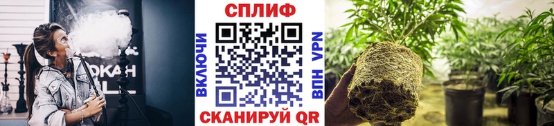 Конопля OG Kush Купить закладки Бирск